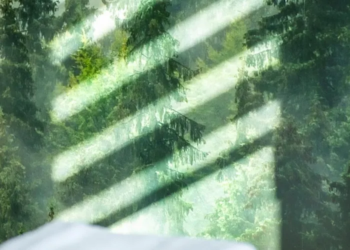 Korfantego 10 Apartamento *